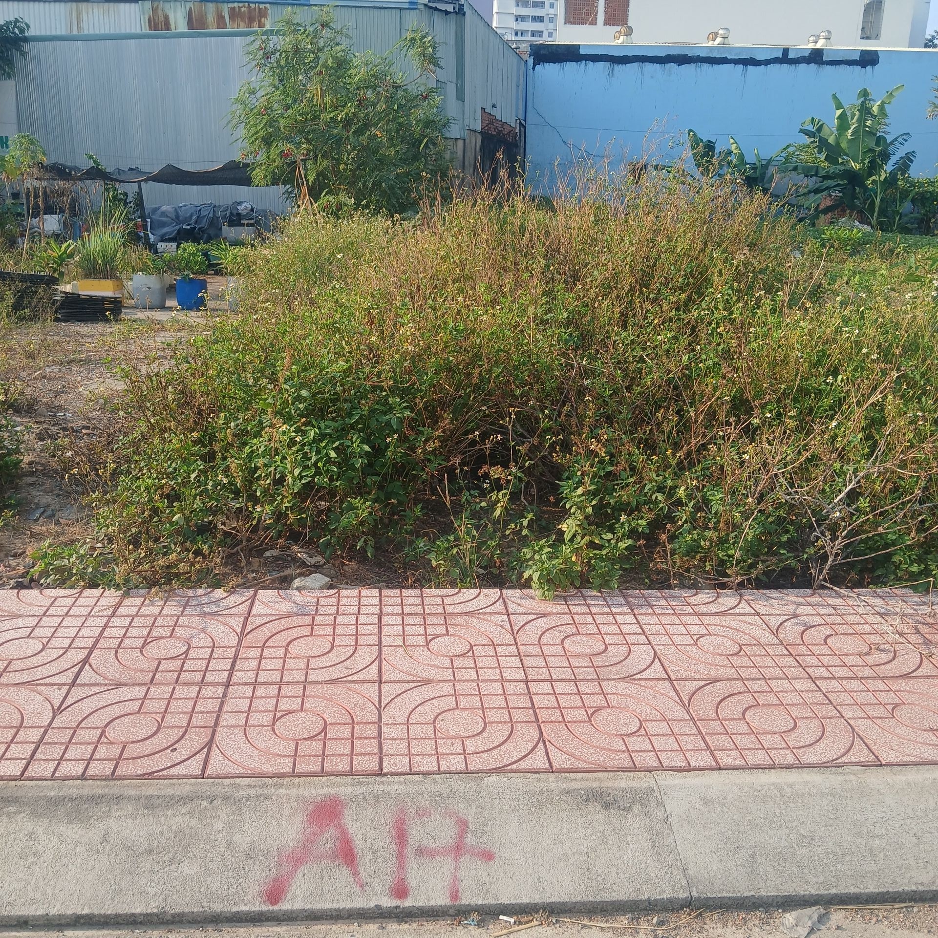 ALONHADAT