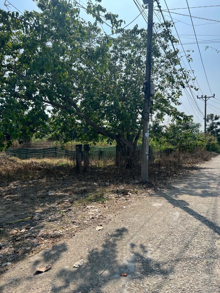 AloNhaDat, Bán Căn Hộ, MIDTOWN